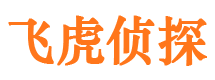 滑县市私人侦探